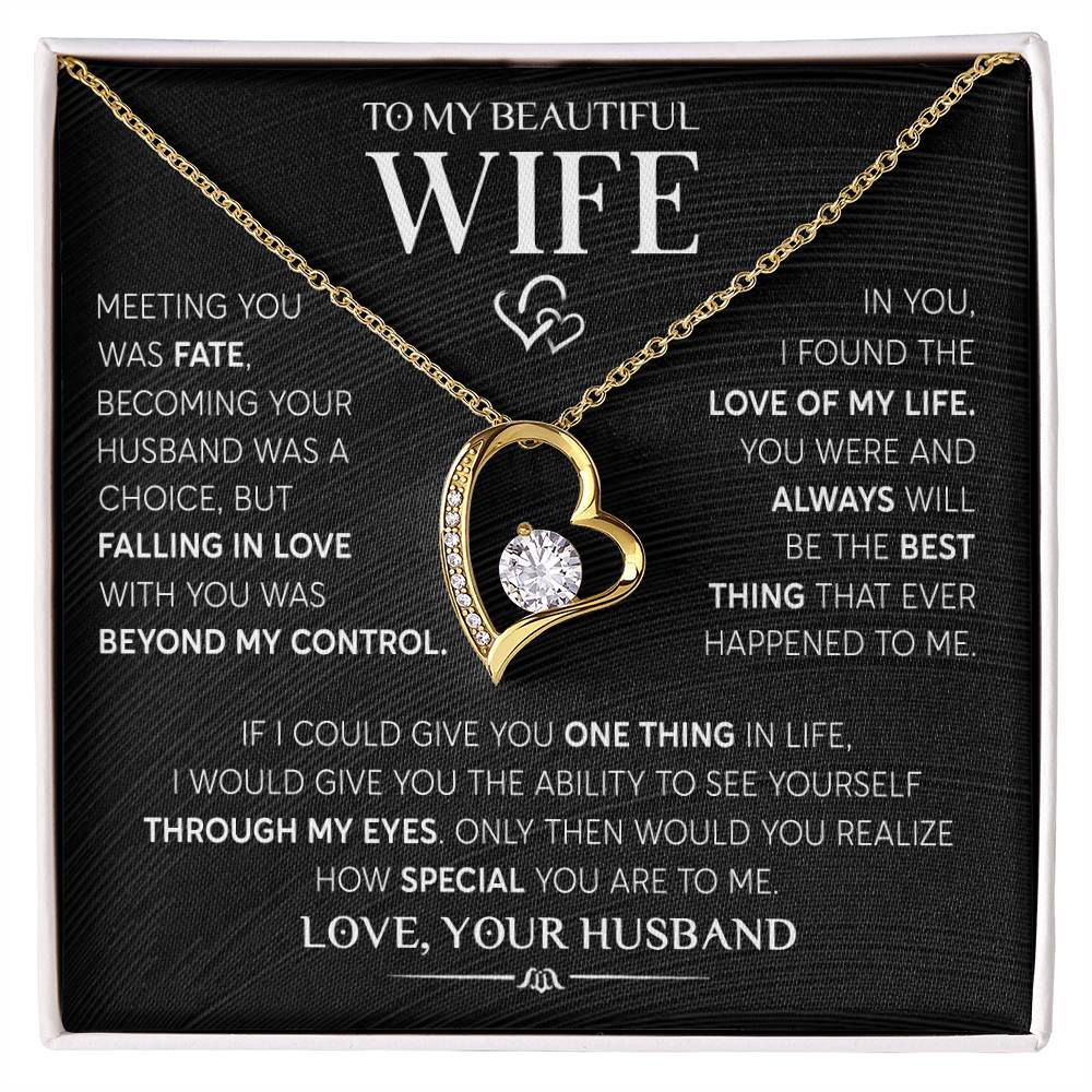 Gift for Wife "Meeting You Was Fate" Necklace